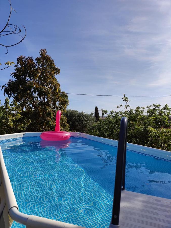 Casa Azul-Tiny House With Fantastic View, Big Outdoor Space And Pool Silves Luaran gambar