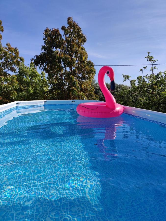 Casa Azul-Tiny House With Fantastic View, Big Outdoor Space And Pool Silves Luaran gambar